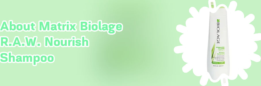 Shampoo matrix biolage